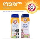 Arm   Hammer Deodorizing Dog Shampoo- Kiwi Blossom Scent  20 Fl Oz
