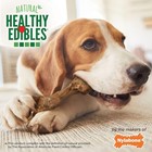 Healthy Edibles Wild Natural Long-lasting Bison Flavor Bone Chew Treats For Dogs