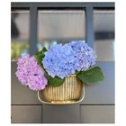 Nantucket Basket Door Knocker