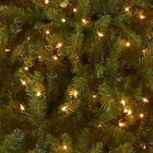 Pre-lit Artificial Full Christmas Tree  Green  Dunhill Fir  White Lights  Inc   