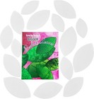    Bigger Perfect Leaves  Heat-resistant Plastic Templates  15 Sizes Of Precision