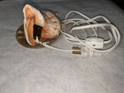 Vintage Unique Handcrafted Seashell Nightlight Small Table Light
