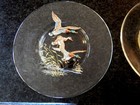 Set Of 8 Vintage Glass Plates Game Bird Design For Outdoor Lovers Holiday Ready