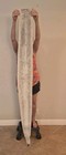 75 Inch Real Rattlesnake Skin With Rattle  Over 8 Inch Wide At Widest  Tanned 