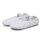 Danzcue Ballet Shoes For Women Soft Canvas pu Leather Adult Dance Slippers  I   