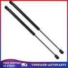 2pcs Rear Hatch Lift Supports Struts Shocks For 2006-2011 Toyota Yaris