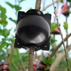 12 Pcs Plant Root Growing Box  Reusable Air Layering Propagation Kit Plant Ro   