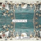  202  Two Individual Paper Luncheon Decoupage Napkins - Starfish Seashells Ocean
