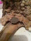 Shark Trio By John Perry  Sculpture Burl Wood Vintage 3 Sharks