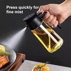 16 Oz Olive Oil Dispenser Bottle 2 In 1 Sprayer Pourer Glass For Kitchen Cooking