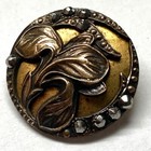 3 4  Gorgeous 19th Century Art Nouveau Iris Flower Brass Button W Steel Border