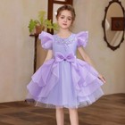 Kids Girls Tutu Dress Princess Pageant Christmas Wedding Evening Party Birthday