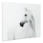 Empire Art Direct White Horse 2 Frameless Tempered Glass Black And White Wall   
