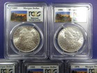 Collector Lot  5 Coins  Brilliant Uncirculated Morgan Dollars - Pcgs   326025 