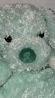 2001 Ty Cuddlepup Baby Mint Green Dog Puppy Plush Beanie Rattle Pillow Pals Htf