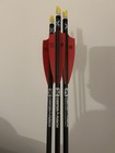 3 Tenpoint Evo-x Center Punch 20    Carbon Crossbow Bolts arrows W  Alpha-nock