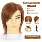 Male Mannequin Head With 100  Human Hair 12  Haircut Training Head For Cosmetolo