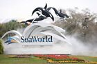 Seaworld Orlando  limited Time Offer  Two-park Ticket To Seaworld Florida Parks