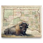 Vintage South Dakota State Map Art Print Buffalo Artwork Poster Wall Decor Gift