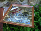 Miller High Life Beer Mirror    tip - Up   Northern Pike  Ice Fishing April 1994