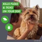 Frontline Plus For Small Dogs Flea   Tick Treatment  5-22 Lbs  6 Doses