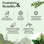 Clonex Rooting Gel - High-performance Rooting Compound For Plant Cuttings  Conta