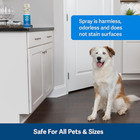 Petsafe Ssscat Unscented Spray Refill Cans 3 89oz Cat Dog Deterrent Ppd00-16818