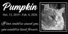 Personalized Cat Memorial Stone Granite Grave Marker Photo Engraved 6x12