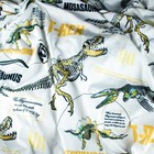 Jurassic Park World White Green Tyrannosaurus T-rex Dinosaur Twin Flat Bedsheet