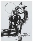 Neal Adams  catwoman  Batman Signed Original Art Autographed Sketch Auto Psa dna