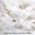 Pack Of 2 Down And Feather Throw Pillow Inserts 18 X 18 Soft Fluffy Square White