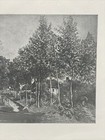 Vintage Jean Baptiste Camille Carot Lithograph Reprint Landscape The Dinghy