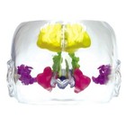 Sinus Clear Gpi Anatomical Model Lifesize Lfa  2851  Make Us An Offer  See Video