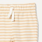Amazon Essentials Unisex Toddlers  Cotton Pull-on Pants With Elastic Waist  Pack