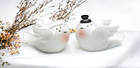 Bride And Groom Dove Birds Salt   Pepper Shakers  Wedding D  cor Or Gift  Wedding