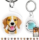 Qr Code Dog Tag  Dog Tags Personalized Silent Pet Id Tag Customizable Free Pe   