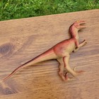 Velociraptor Dinosaur S h  Action Figure Collectible Dinosaur Jurassic Raptor