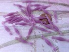 Vintage 4 X 23mm Frosted Matte Lilac Plastic Connector Beads 30