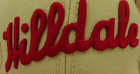 Hilldale Club Common Union Negro League Baseball Cap