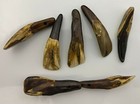 Buffalo Teeth White Antiqued Taxidermy Animal Mount Display Jewelry Bag Bulk Art