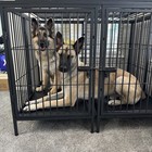 52  Huge Dog Cage For Two Large Dogs Metal Pet Crate Kennel W  Divider   2 Tray