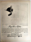 Chessie Chesapeake And Ohio Lines Railroad Train Vintage 1933 Ad Magazine Print