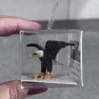 Little Critterz Miniature Porcelain Animal Figurine Eagle  ari  New In Box Gift