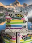      Squishy Rainbow Layer Cake Jumbo Squishy Smushmart Rms Usa Crazy Fun Viral     