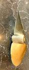 Michigan Brass Marine Boat Ship Propeller  - 10  Wide
