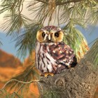 Folkmanis Pygmy Owl Hand Puppet