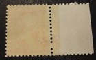 Scott  267  Mint Nh 1895 Washington W  Margin Imprint  Stk  Ap2
