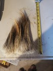 Porcupine Guard Hair