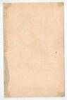 South Africa Natal Zulu Nude Black Woman Original Old 1890s Albumen Photo Aa