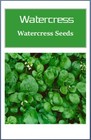 Watercress Cress Seeds   Non-gmo   Heirloom   Fresh Garden Seeds